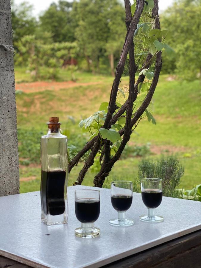 Kuca Za Odmor Luna Βίλα Slunj Εξωτερικό φωτογραφία